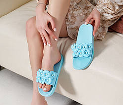 Шльопанці жіночі Gipanis