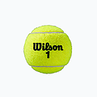 М'ячі для тенісу Wilson ROLAND GARROS CLAY CT 3 BALL - м’ячі для ґрунтових кортів, фото 3