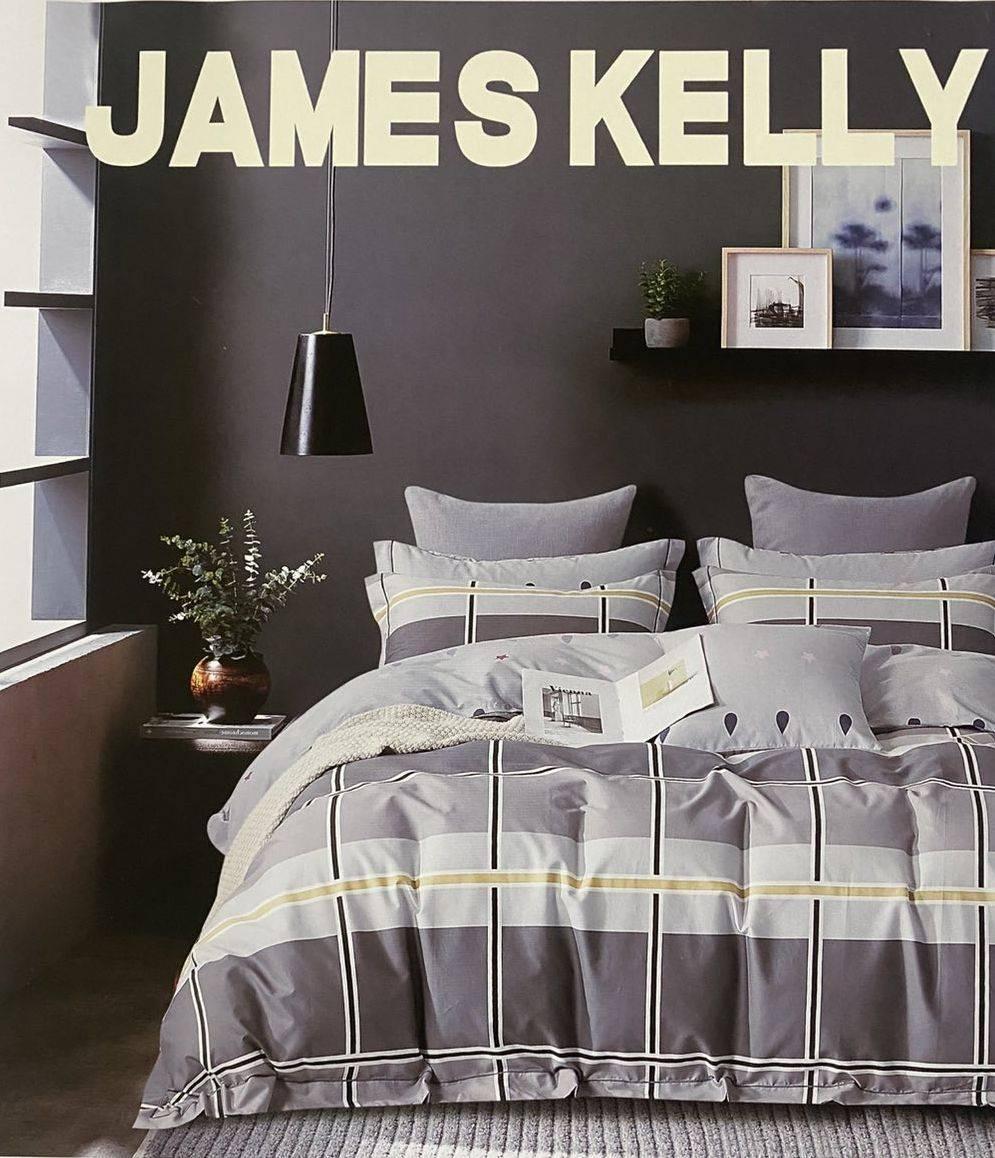 Комплект постільної білизни 160*210 сірий JAMES KELLY 23535, фото 1