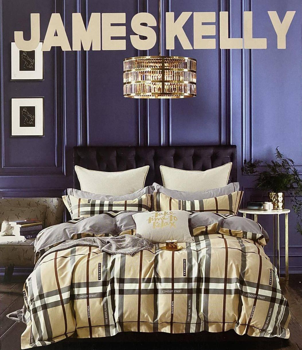 Комплект постільної білизни 160*210 сірий з бежевим JAMES KELLY 24252, фото 1