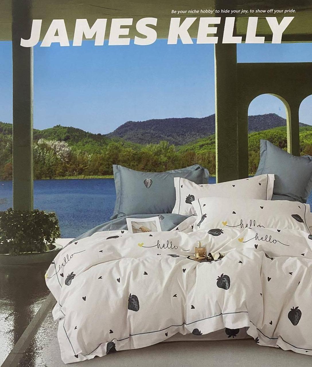 Комплект постільної білизни 160*210 білий JAMES KELLY 24261, фото 1