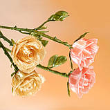 Пластик Bambu Lab PETG Translucent Orange (32300), без котушки, фото 2