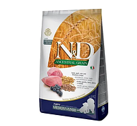 Низькозерновий сухий корм для цуценят середніх та великих порід Farmina з ягням і чорницею