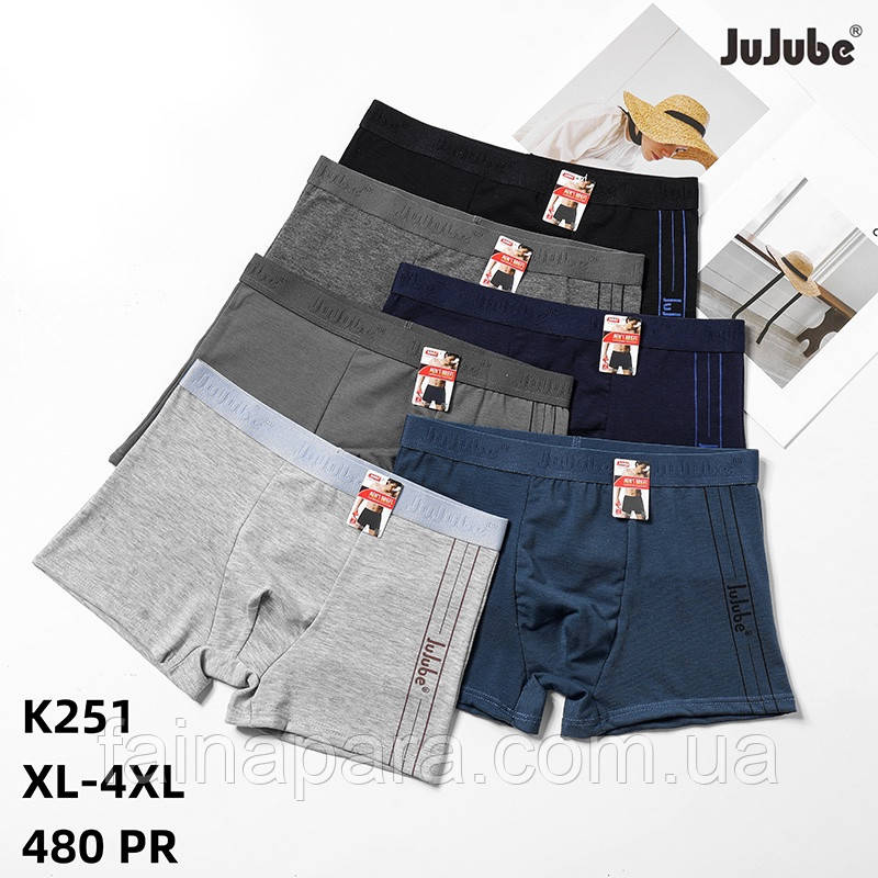 Чоловічі бавовняні боксери з широкою резинкою Jujube XL, фото 1