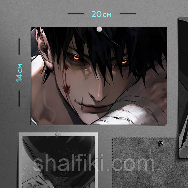 "Фушігуро Тодзі (Магічна битва / Jujutsu kaisen)" плакат (постер) розміром А5 (20х14см), фото 1
