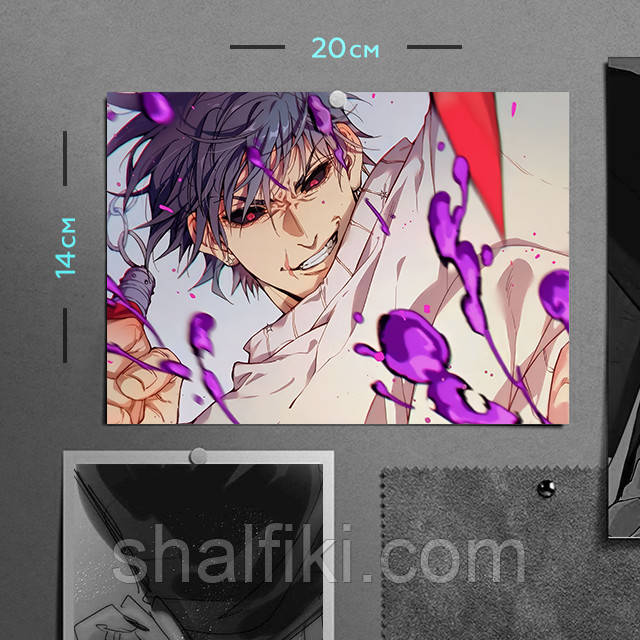 "Фушігуро Тодзі (Магічна битва / Jujutsu kaisen)" плакат (постер) розміром А5 (20х14см), фото 1