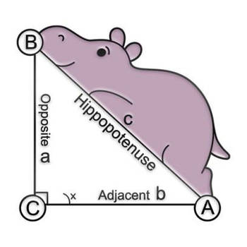 "Гепатенуза Бегемотенуза" значок (пін) металевий