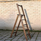 Дерев'яна драбина Стінгер на 5 сходинок з вільхи висока, міцна, розкладна полісандр, фото 4