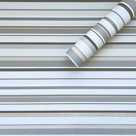 Самоклеюча плівка 0,45х10м х 0,07мм Світло-сталева SW-00001209, фото 1