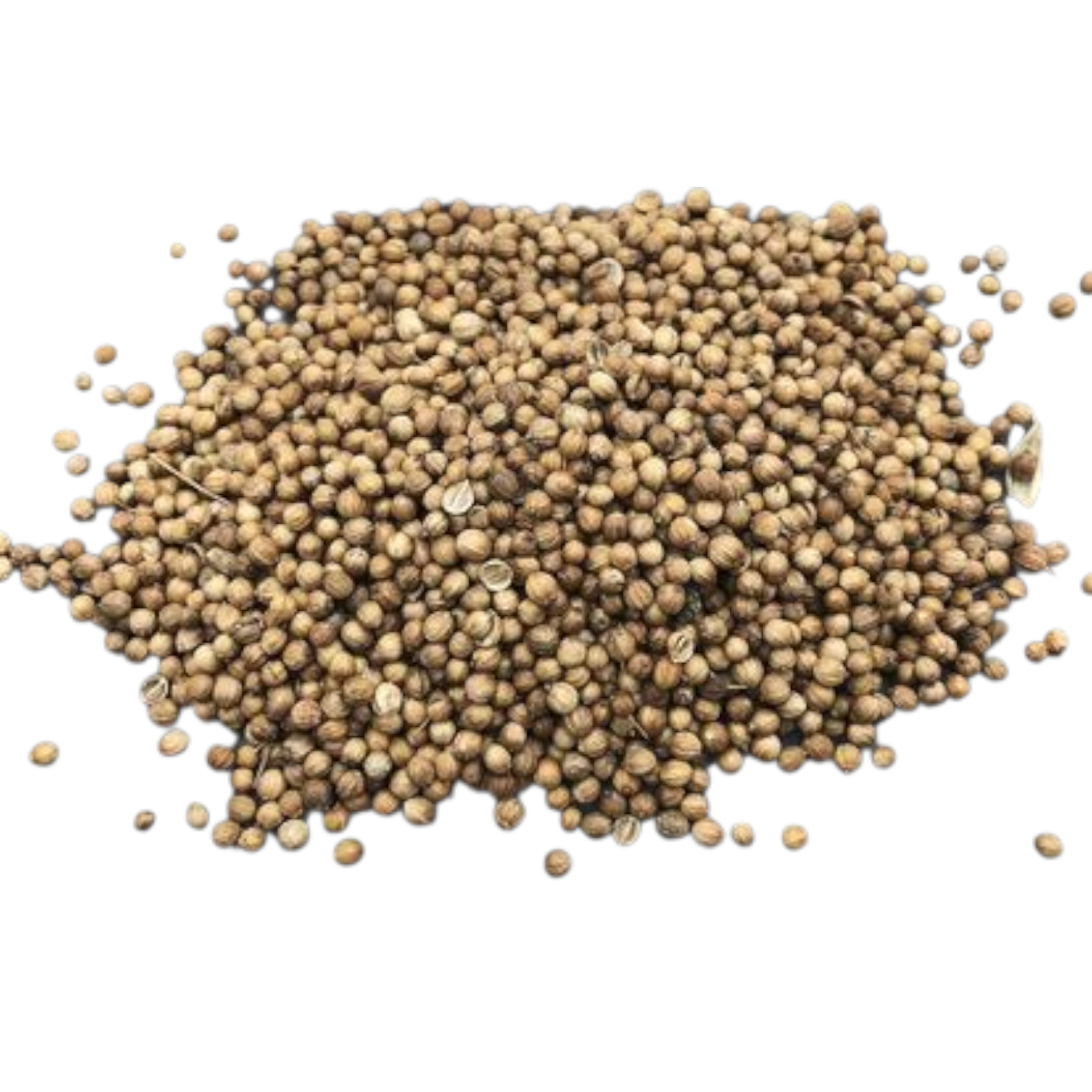 Коріандр горошок, фото 1