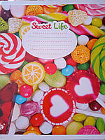 Зошит 18 аркушів клітинка офсетний папір кольорова обкладинка ТВ-108к Бріск