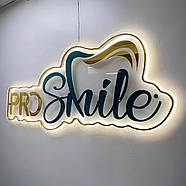 Арт-вивіски на стіну і для фасаду Світлові та класичні будь-яких форм і розмірів під замовлення, фото 4