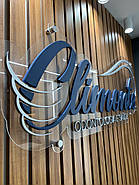 Арт-вивіски на стіну і для фасаду Світлові та класичні будь-яких форм і розмірів під замовлення, фото 6