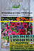 Петунія Браво F1 (суміш) з прожилками однорічні рослина для балконів, горщиків, клумб (20 сем. у пачці), фото 3