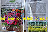 Петунія Браво F1 (суміш) з прожилками однорічні рослина для балконів, горщиків, клумб (20 сем. у пачці), фото 2