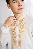 Біла дитяча вишиванка з колосками, арт. 4446, фото 2