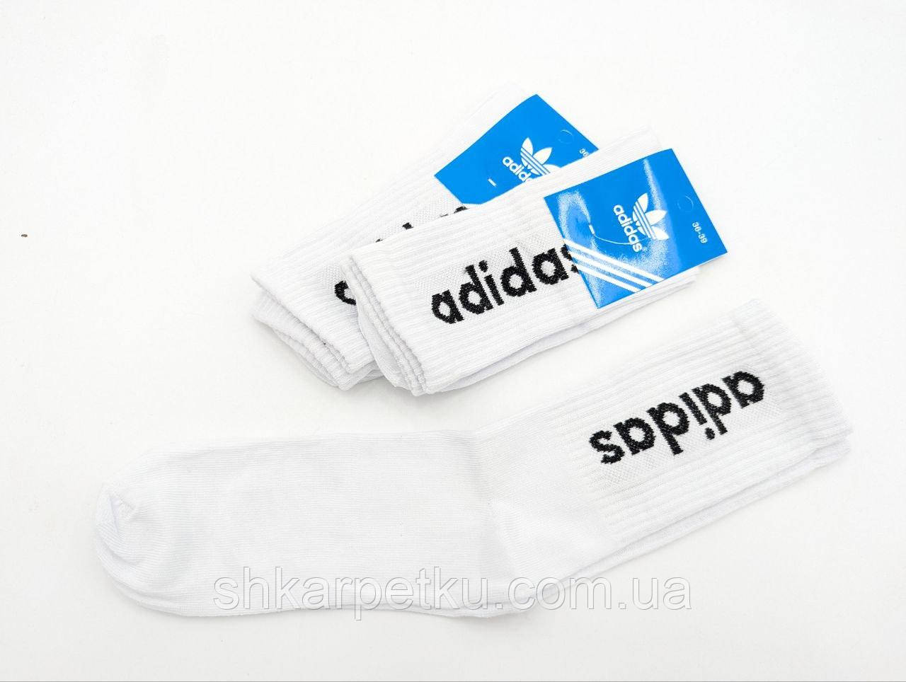 Жіночі високі спортивні шкарпетки з написом A з бавовни 36-39, 12 пар, Туреччина, фото 1