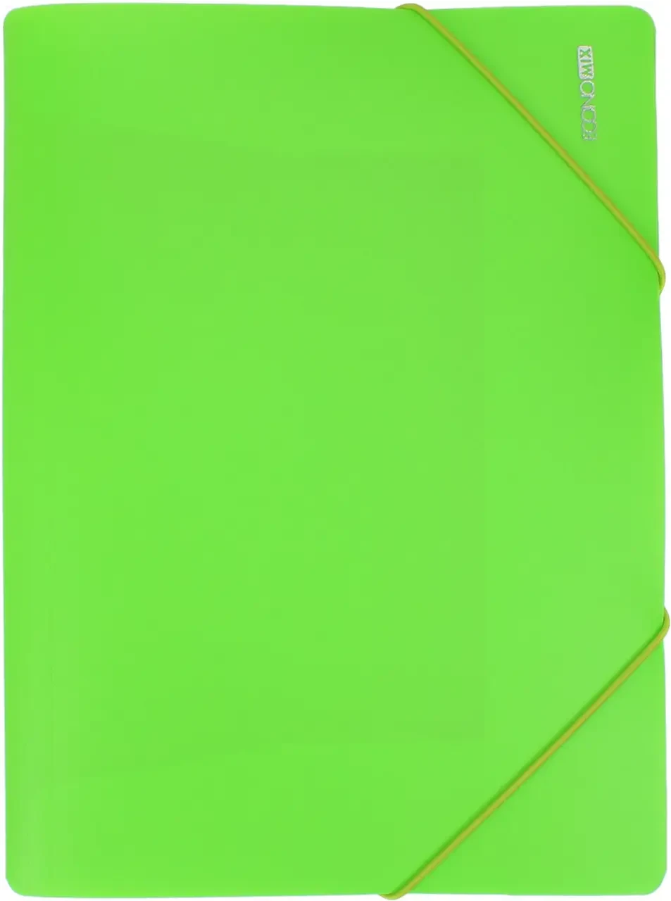 Папка на гумках пластикова А4, ECONOMIX E31633-13 салатова