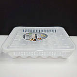 Лоток для яєць на 30 шт AK 681, фото 2