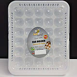 Лоток для яєць на 30 шт AK 681, фото 3