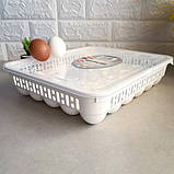 Лоток для яєць на 30 шт AK 681, фото 5