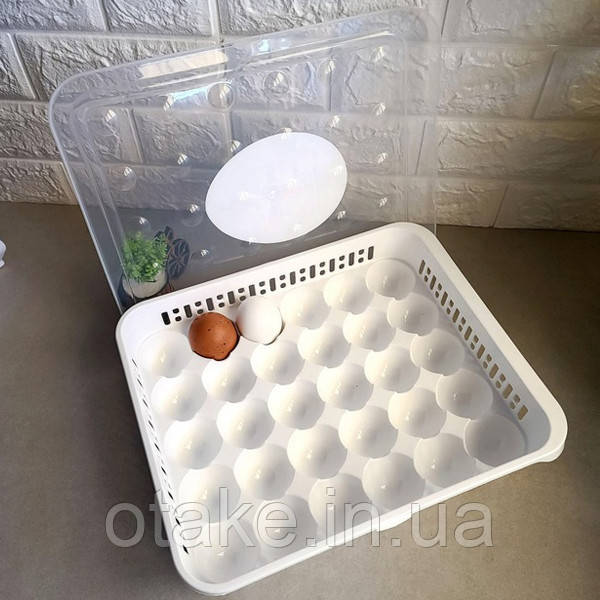 Лоток для яєць на 30 шт AK 681, фото 1