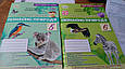 Пізнаємо природу. 5 клас. Робочий зошит. О. Чухліб. К.Левада. (до прог. Д. Біда.,Т. Гільберг) НУШ. Оріон, фото 2