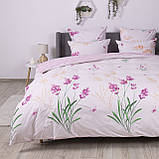 Постільна білизна "ТЕП" Aurora, 70x70, полуторна, фото 5
