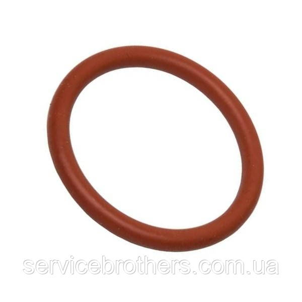 Кільце ущільнююче заварного блоку кавоварки Delonghi, фото 1