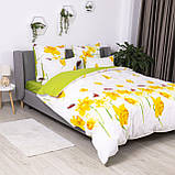 Постільна білизна ТЕП "Soft dreams" Яскравий нарцис, 70x70, євро, фото 3