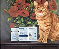 Молнупиравир Molnuvir (Молнувір) 200м 40 Таb молнупиравир, Молнувір, Молнупіравір