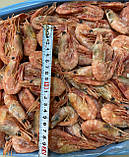 Креветки великі 40-60 шт/кг.Морепродукти.Креветка., фото 2