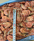 Креветки великі 40-60 шт/кг.Морепродукти.Креветка., фото 3