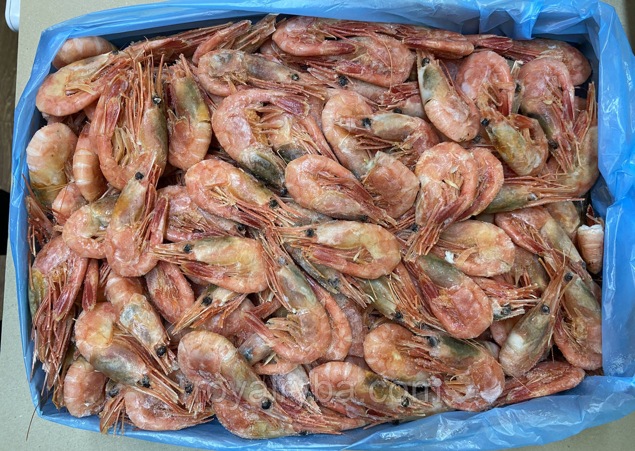 Креветки великі 40-60 шт/кг.Морепродукти.Креветка., фото 1