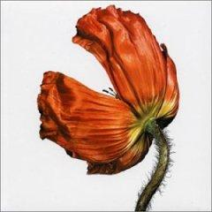 Pet Shop Boys – Release (2002) (CD Audio)