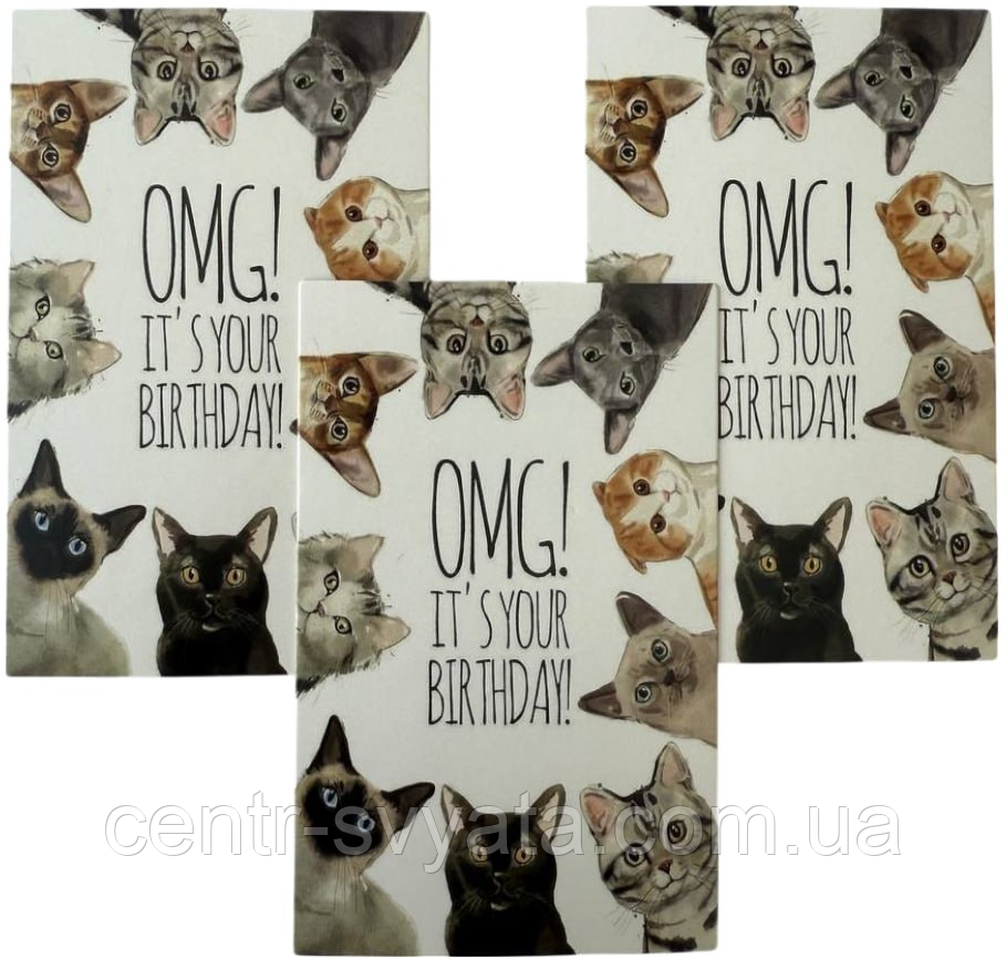 Міні листівки "OMG! It`s Your Birthday" котики, 10 шт