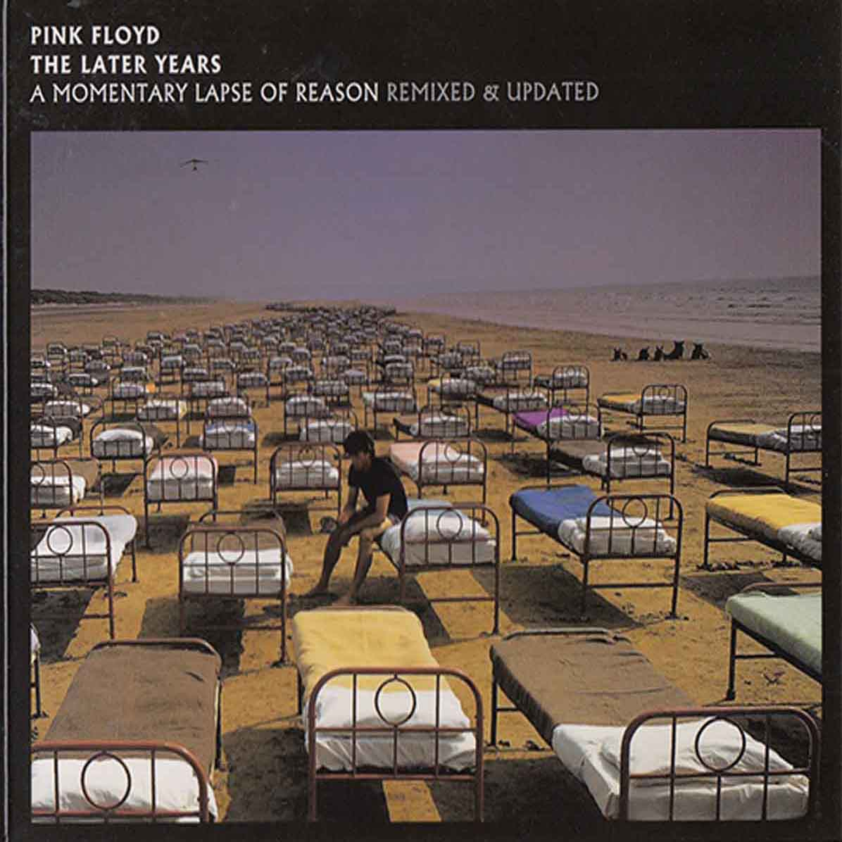 Pink Floyd – A Momentary Lapse Of Reason (Remixed & Updated) (2cd, digipak) (2019) (CD Audio)
