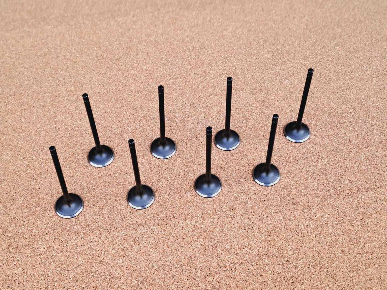 Клапана впускные Комплект (8 штук) 2,0\2,4 л Brilliance M1 M2 BS4 BS6 Бриллианс М1 М2 Брілліанс, фото 1