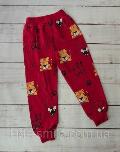 Штани спортивні дитячі (З 2-5 років) "Виробництво Туреччина"
