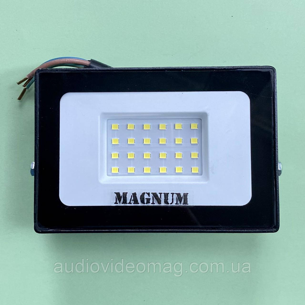 Прожектор світлодіодний MAGNUM FL12 Eco Led 30W Slim, фото 1