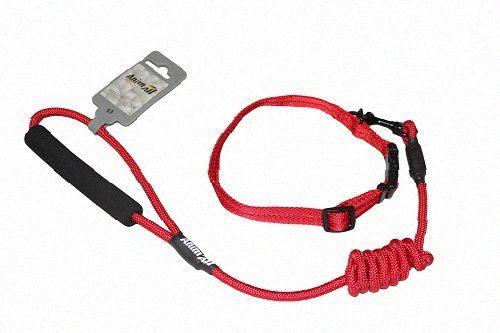 Комплект нашийник з повідцем AnimAll для собак, S, 0.8×120 см/37-46 см, червоний, Якість, фото 1