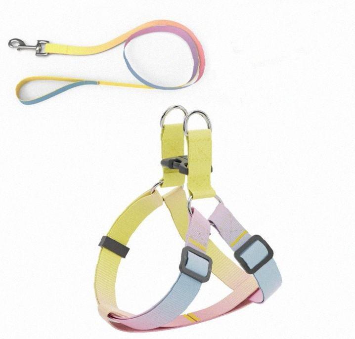 AnimAll Набір (шлей + повідець), panton 2, 10/250-300/1800 мм, Якість, фото 1