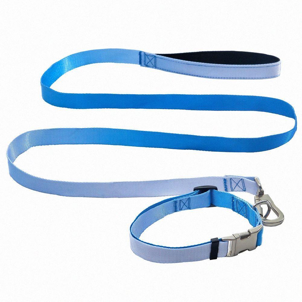 AnimAll Набір (нашийник + повідець), panton 3, 25/420-520/1800 мм, Якість, фото 1