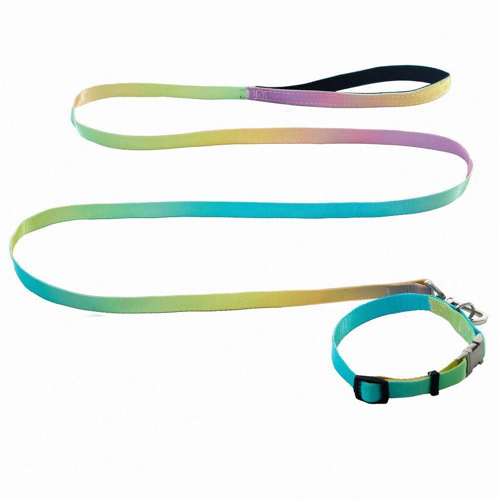 AnimAll Набір (нашийник + повідець), panton 2, 25/420-520/1800 мм, Якість, фото 1