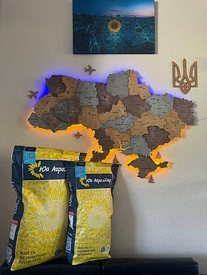 Cоняшник НС Х 8005 Агролідер Стандарт (SUMO, A-G+, 104-106 дні), фото 2