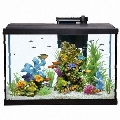 Акваріум Resun STH-75 з фільтром та освітленням, 609x322x406 мм, 75.7 літрів, Якість, фото 1