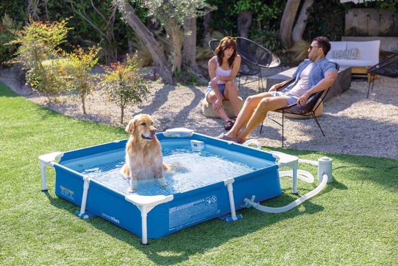 Intex Набір для басейна для домашніх тварин, з металевим каркасом, скімером та диспенсером для води 48402 NP