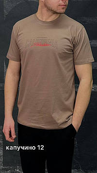 Футболка чоловіча IceMan 0239 MISH-капучіно(12) 95% бавовна 5% еластан M(Р)