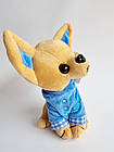 М'яка іграшка собачка Чихуахуа у синій кофті, 18 см, фото 3