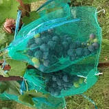Сітка мішечок для захисту винограду від ос 22х33 см. на 2кг. 50 шт. зелена Євро сітка мішок для овочів., фото 3